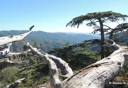 Akamas Sunset Bohemian Chic By One *