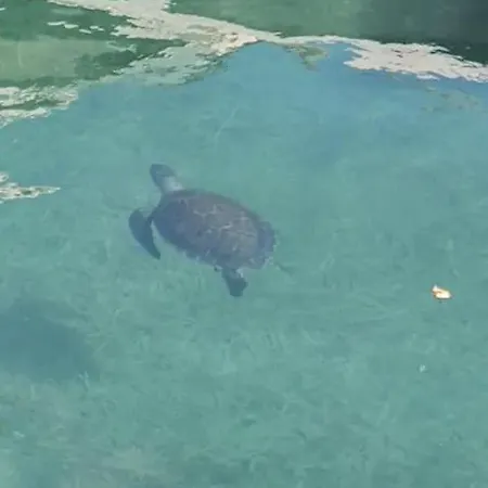 Διαμέρισμα Akamas Sunset Bohemian Chic By One Πόλη