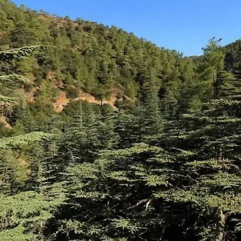 Lejlighed Akamas Sunset Bohemian Chic By One