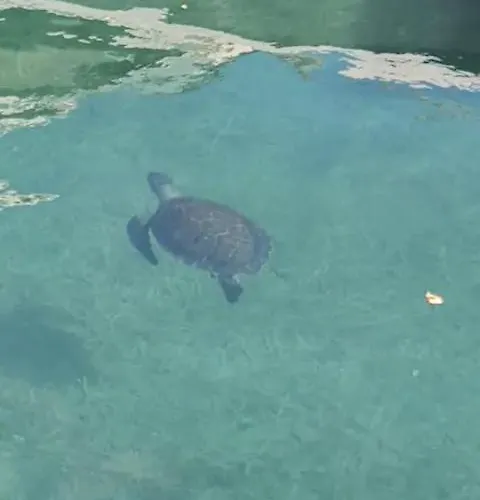 Lejlighed Akamas Sunset Bohemian Chic By One Polis