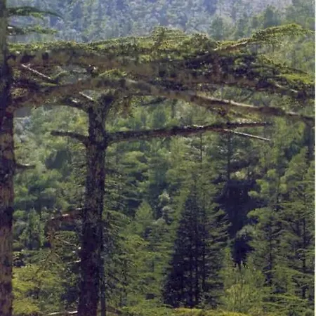 Akamas Sunset Bohemian Chic By One * Polis