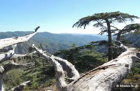 Akamas Sunset Bohemian Chic By One *