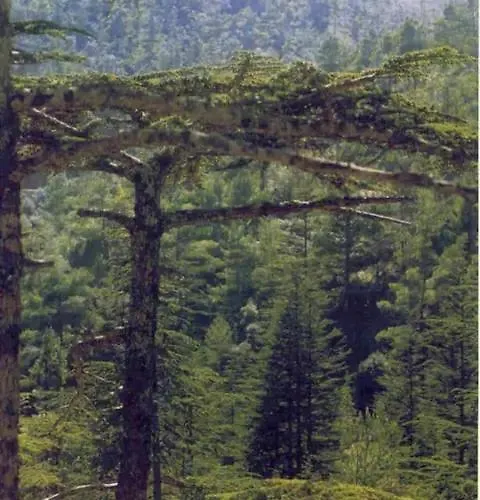 Akamas Sunset Bohemian Chic By One * 폴리스